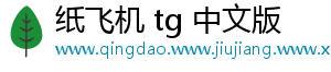 纸飞机 tg 中文版